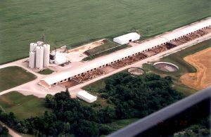 Construction begins on one of the largest barns in Canada.